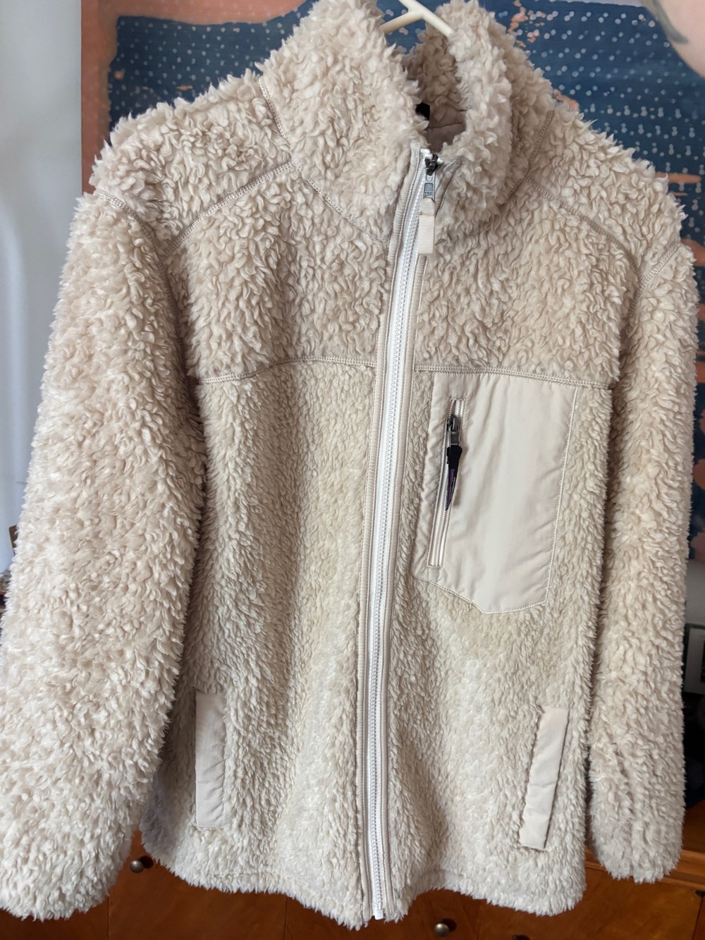 Patagonia Retro-X Cream Jacket